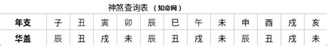 華蓋星八字|八字命理講解「華蓋」命帶「華蓋」什麼意思，華蓋詮。